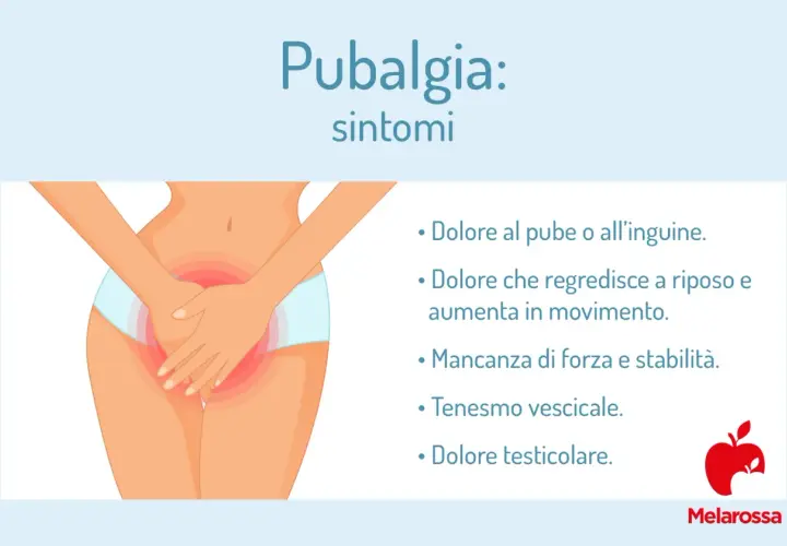 Illustrazione di un'area pubica e inguinale con un'evidente zona rossa che indica un **inguine infiammato**. Elenca i sintomi della pubalgia.
