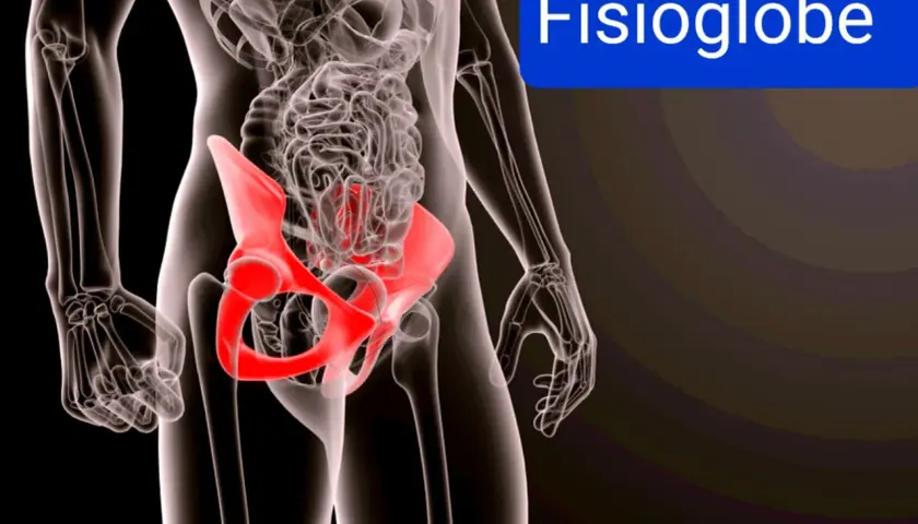 Anatomia del bacino in rosso, evidenzia la zona dove si manifesta la pubalgia.