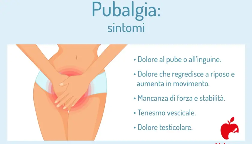 Illustrazione di un'area pubica e inguinale con un'evidente zona rossa che indica un **inguine infiammato**. Elenca i sintomi della pubalgia.