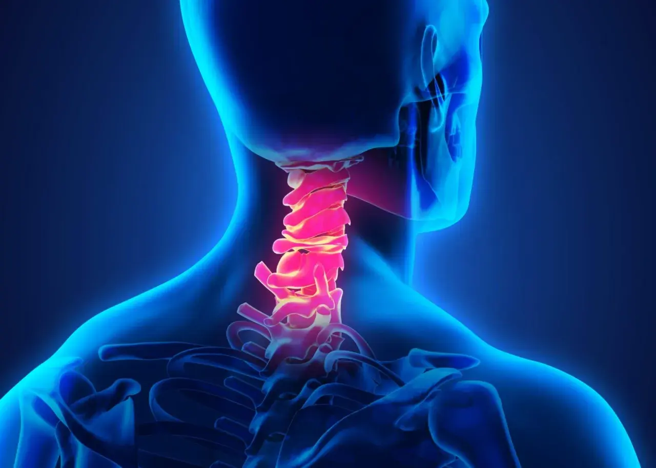 La colonna vertebrale cervicale, evidenziata in rosso, mostra la sua anatomia. Cos'è la cervicale? È la parte del collo che sostiene la testa.
