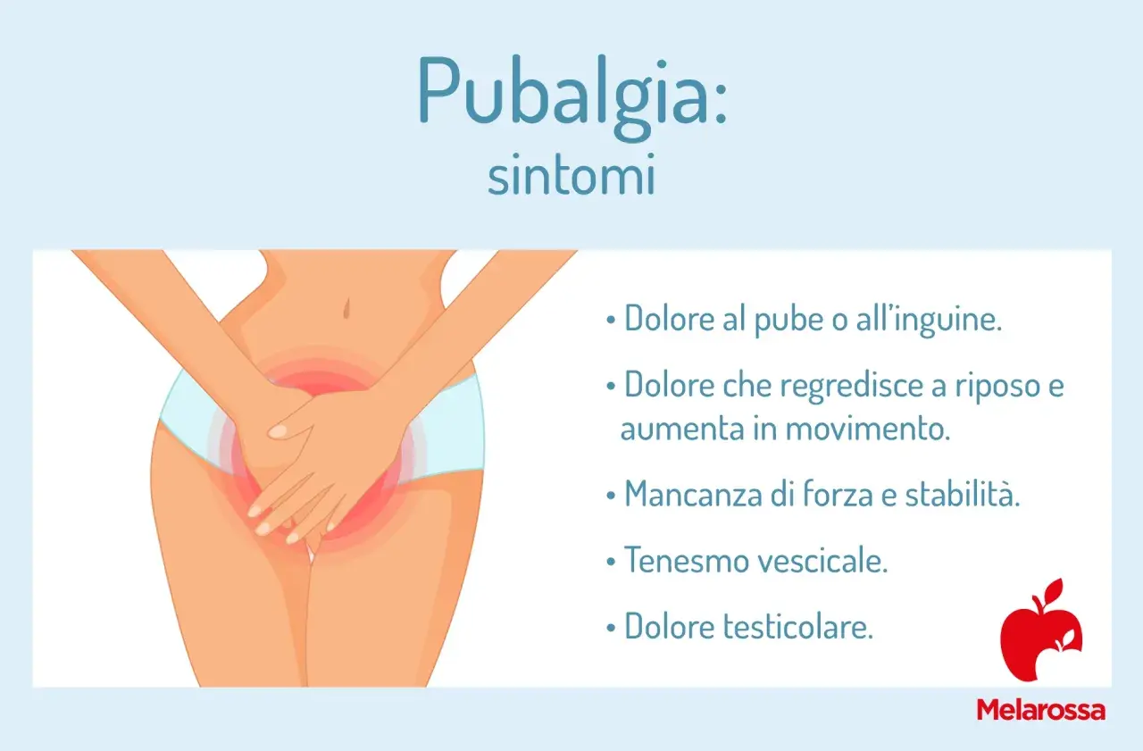Illustrazione di un'area pubica e inguinale con un'evidente zona rossa che indica un **inguine infiammato**. Elenca i sintomi della pubalgia.