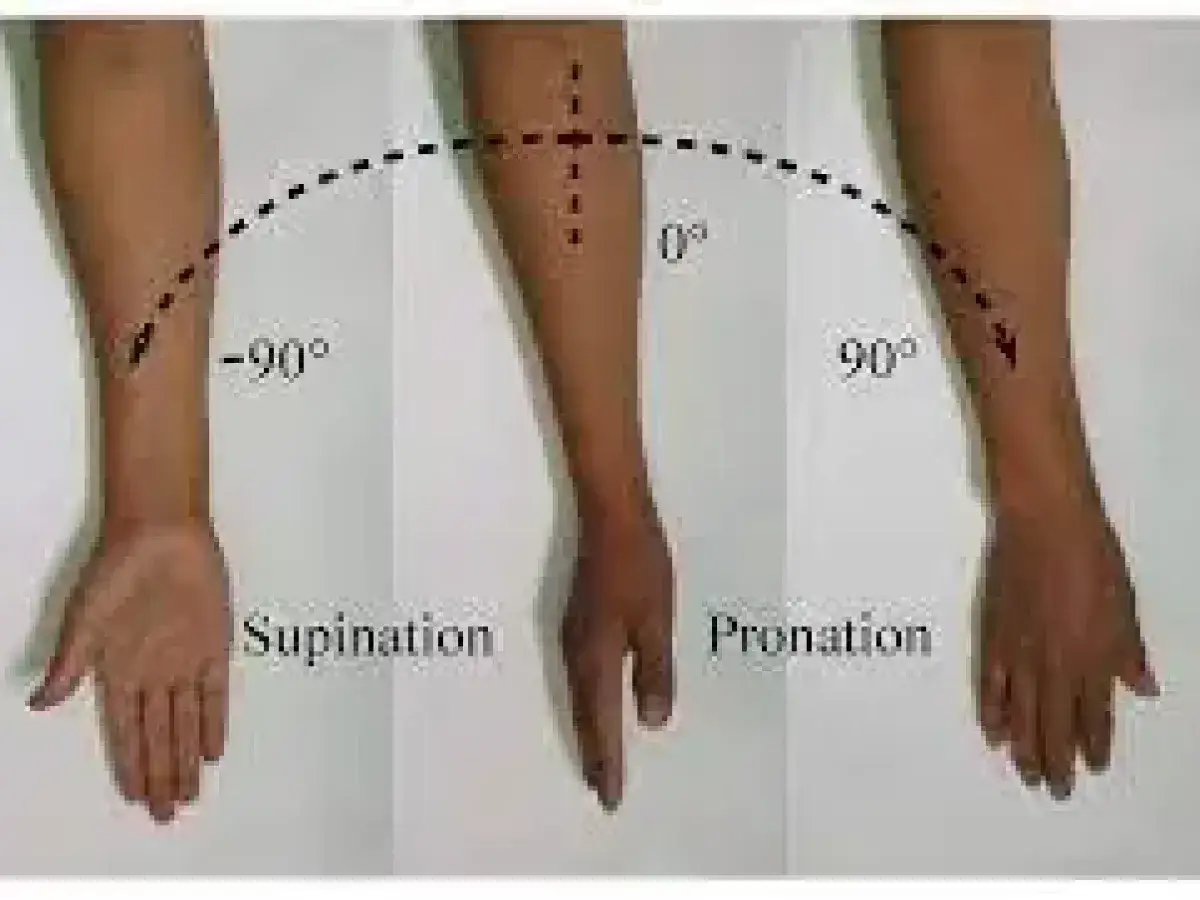 Braccio in tre posizioni: supinazione (-90°), neutra (0°) e pronazione (90°). Potrebbe indicare dolore al polso quando lo ruoto.